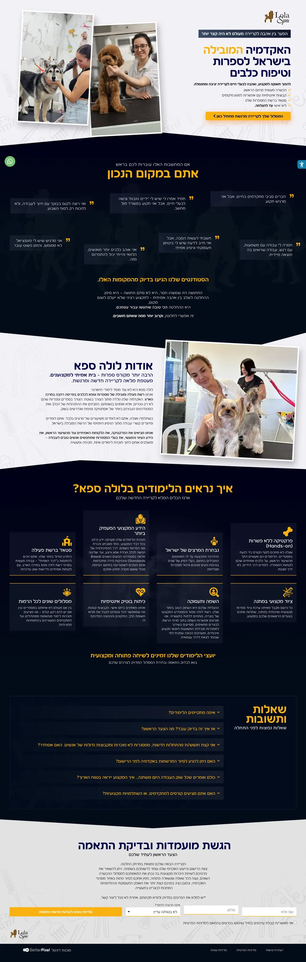 דף נחיתה לולה ספה